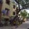 p03goprv0049_small.jpg