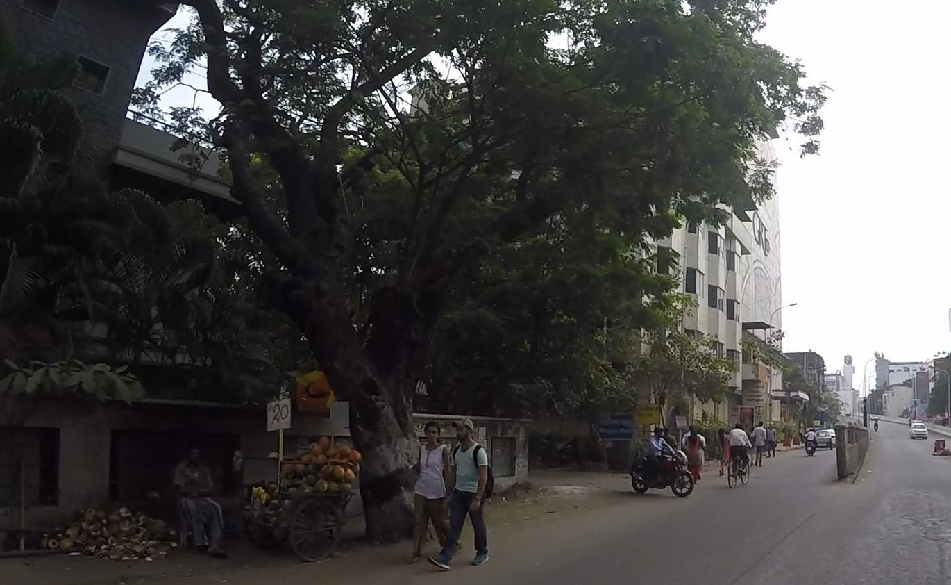 p06goprv0103.jpg