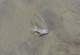 p14gopr2123_small.jpg
