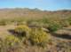 imgp0597_small.jpg