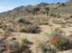 imgp0603_small.jpg