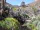 imgp0612_small.jpg