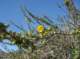 imgp0615_small.jpg