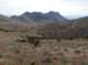 imgp0617_small.jpg