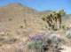 imgp0618_small.jpg