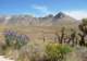 imgp0619_small.jpg
