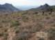 imgp0620_small.jpg