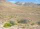 imgp0622_small.jpg