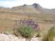 imgp0627_small.jpg
