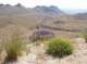imgp0628_small.jpg