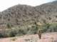 imgp0630_small.jpg