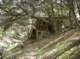 imgp0631_small.jpg
