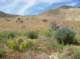 imgp0638_small.jpg