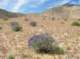 imgp0640_small.jpg