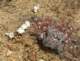 imgp0647_small.jpg