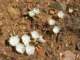 imgp0651_small.jpg