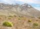imgp0654_small.jpg