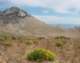 imgp0655_small.jpg