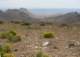 imgp0657_small.jpg
