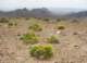 imgp0659_small.jpg