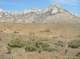 imgp0671_small.jpg