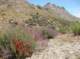 imgp0675_small.jpg