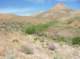 imgp0676_small.jpg