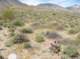 imgp0677_small.jpg