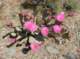 imgp0678_small.jpg