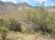 imgp0679_small.jpg