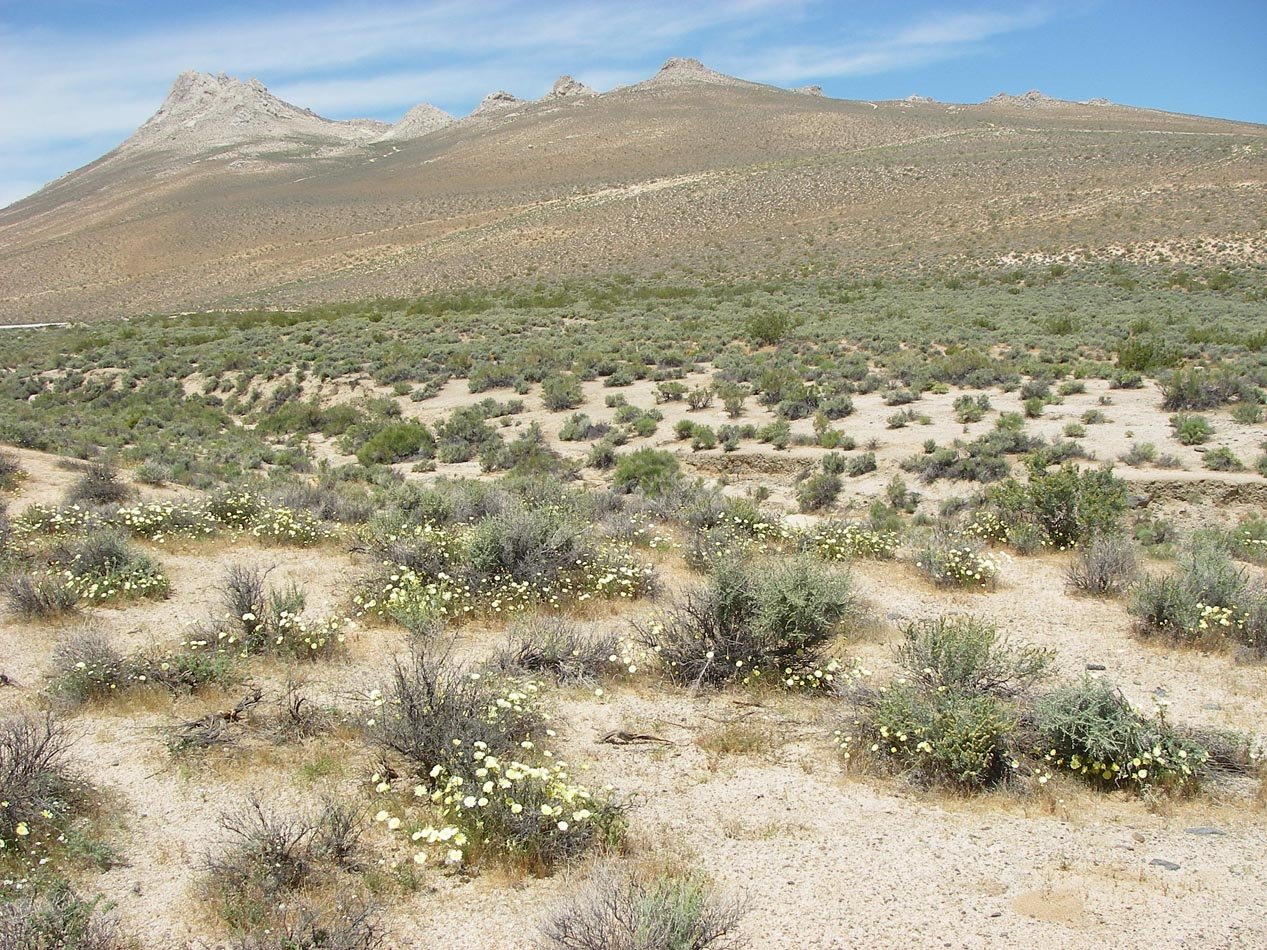 imgp0685.jpg