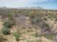 imgp0686_small.jpg