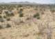 imgp0690_small.jpg