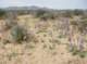 imgp0692_small.jpg