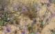 imgp0693_small.jpg
