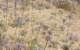 imgp0694_small.jpg