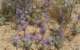 imgp0695_small.jpg