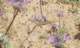 imgp0697_small.jpg