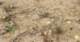 imgp0698_small.jpg