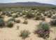 imgp0700_small.jpg