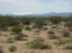 imgp0702_small.jpg