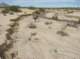 imgp0711_small.jpg