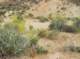 imgp0714_small.jpg