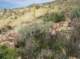 imgp0716_small.jpg