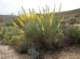 imgp0717_small.jpg