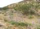 imgp0720_small.jpg