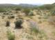 imgp0721_small.jpg