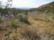 imgp0723_small.jpg