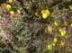 imgp1260_small.jpg