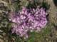 imgp1266_small.jpg